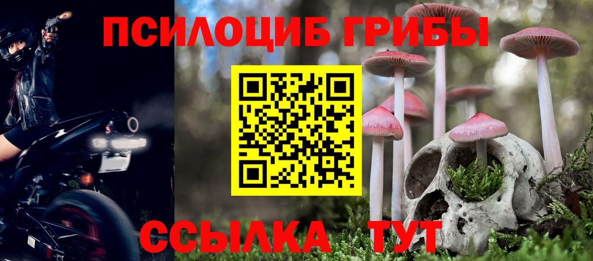 Галлюциногенные грибы прущие грибы Миллерово