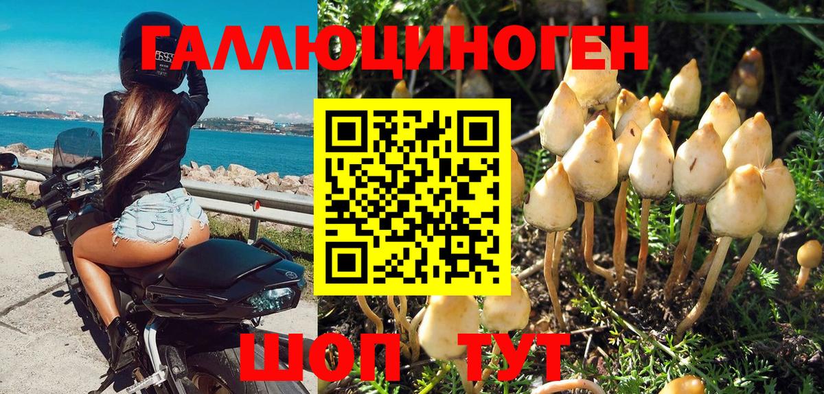 Псилоцибиновые грибы Cubensis  где найти наркотики  Вход с VPN  Миллерово  Псилоцибиновые грибы мухоморы 